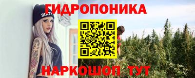 бошки Донецк