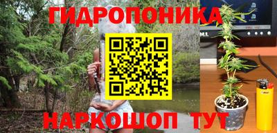 PSILOCYBIN Донской