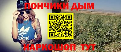 PSILOCYBIN Донской