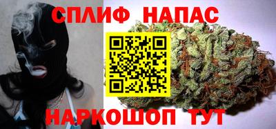 PSILOCYBIN Донской