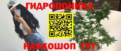 бошки Донецк
